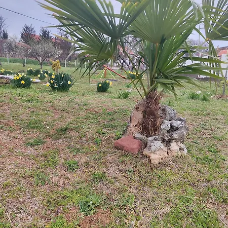 Séjour chez l'habitant Rola Smestaj *